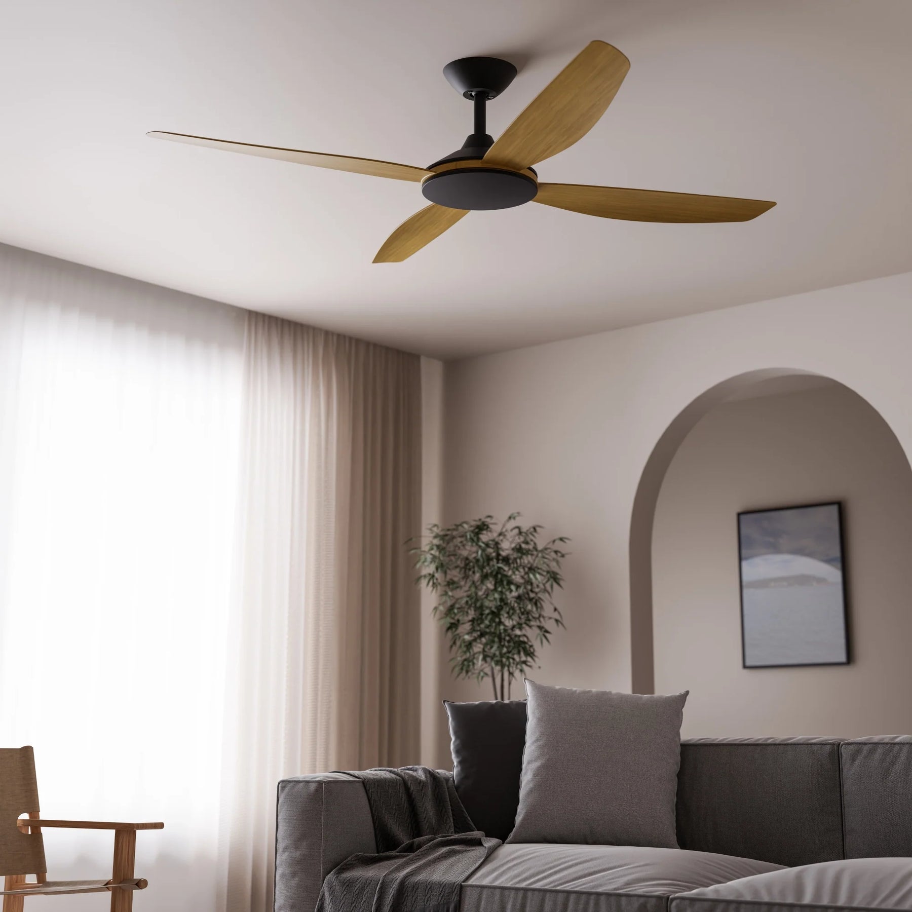 Ceiling Fans