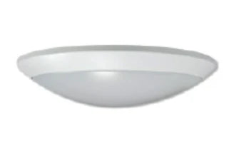 Icon DC White Light Kit