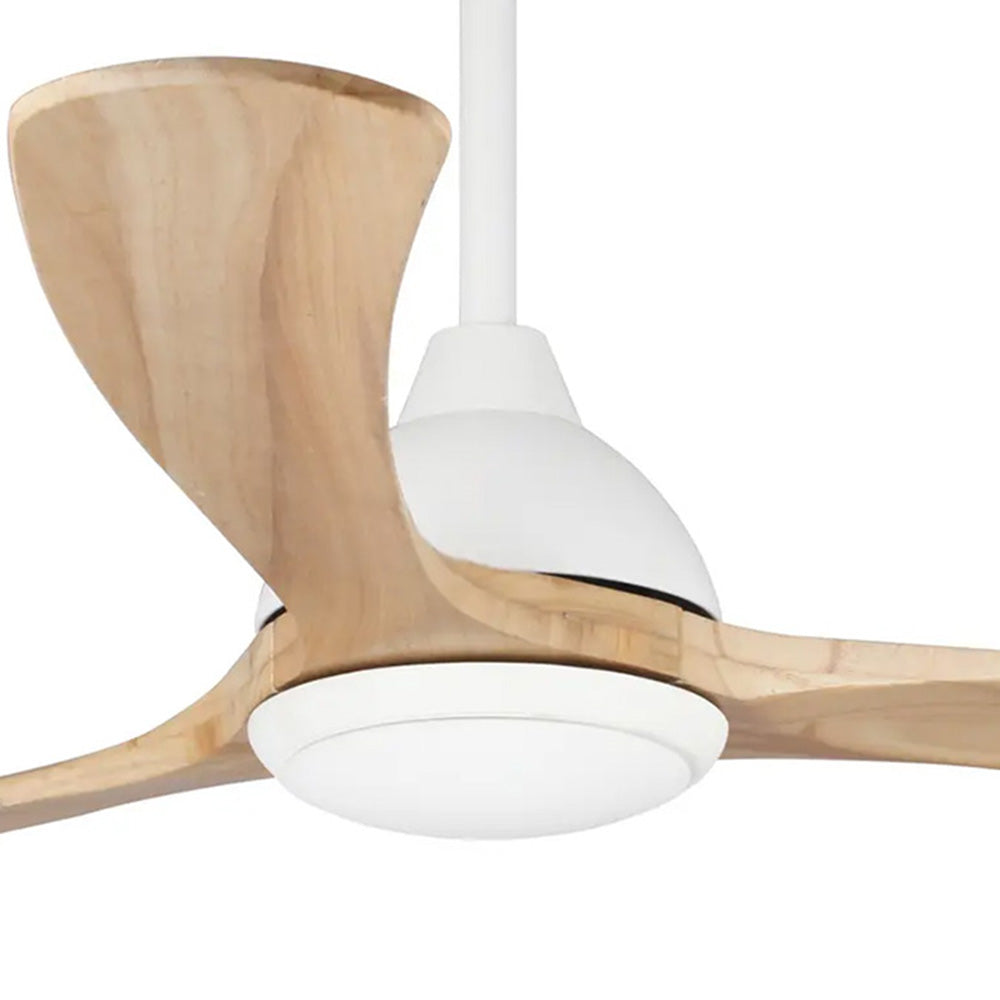 Fanco Sanctuary DC - 70'' (178cm) - BLADES ONLY - Natural