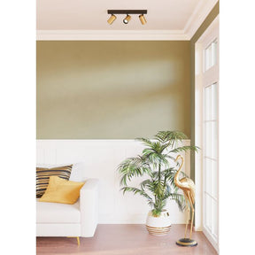 CUMARIBO SP 3X5W GU10 LED 4000K Brass / Black - wall light - Lux Lighting