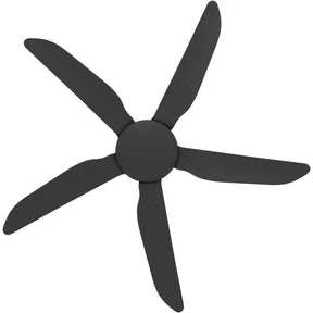 Storm DC 48" Black All ABS -  No Light
