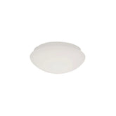 Azure Replacement Diffuser Only