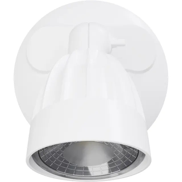 Nighthawk 1 Light Exterior Spotlight with Sensor 15W TRI Colour Non-dimmable White IP65