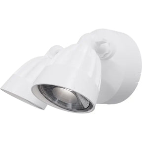 Nighthawk 2 Light Exterior Spotlight 30W TRI Colour Non-dimmable White IP65