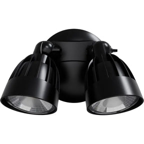 Nighthawk 2 Light Exterior Spotlight 30W TRI Colour Non-dimmable Black IP65