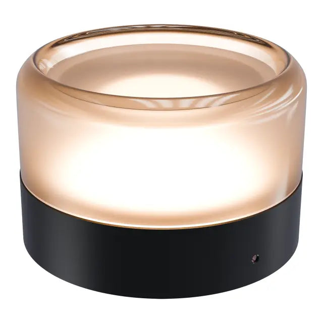 Calibo Gull Round Frosted Acrylic 3CCT LED Exterior Wall Light