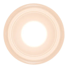Calibo Gull Round Frosted Acrylic 3CCT LED Exterior Wall Light