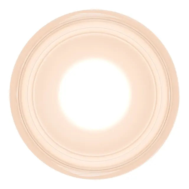 Calibo Gull Round Frosted Acrylic 3CCT LED Exterior Wall Light