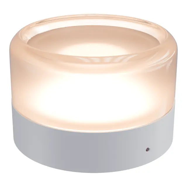 Calibo Gull Round Frosted Acrylic 3CCT LED Exterior Wall Light