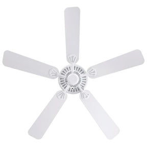 WAIKIKI 52 AC FAN WHT/WHT