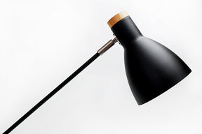 Scandinavian Floor Lamp