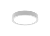 Evolve EC/DC White Light Kit Only