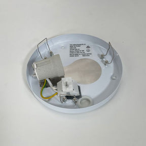 ELBA FLUSH MOUNT OPAL WALL LIGHT