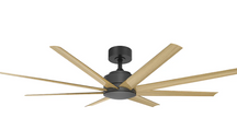 Titanic RWS 72 DC Ceiling Fan