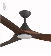 Cloudfan 72in with Light