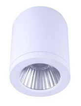 Hudson Surface Mounted Downlight - White - Large