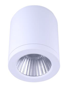 Hudson Surface Mounted Downlight - White - Large