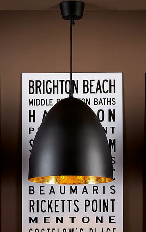 Egg Ceiling Pendant Black and Brass